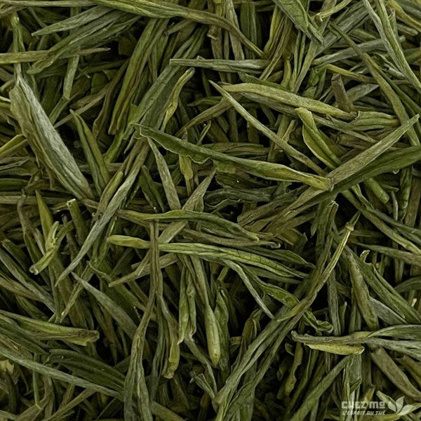 ANJI BAI CHA — 2026