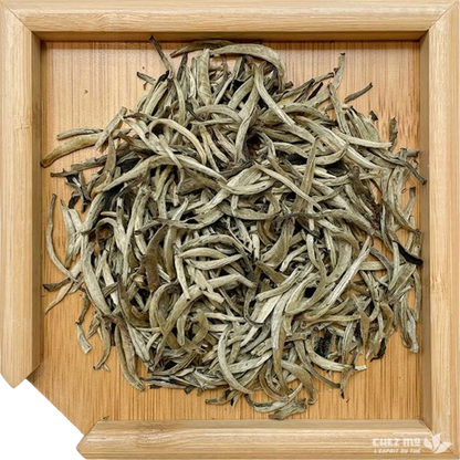 BAI HAO YIN ZHEN — EXTRA