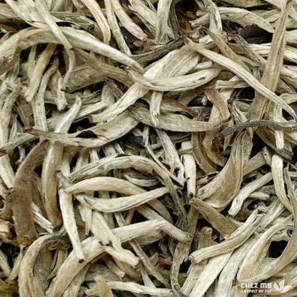 BAI HAO YIN ZHEN — EXTRA